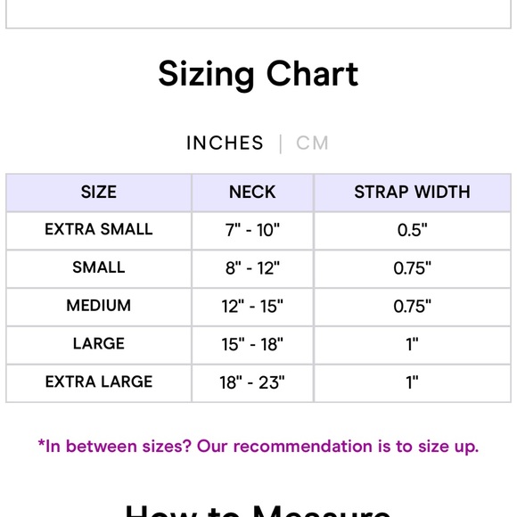 Wild One Collar in Blush
XS NEW 
$38 EXTRA SMALL  7”-10"  STRAP WIDTH 0.5” - Picture 5 of 16